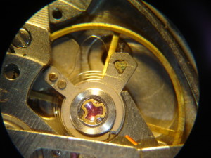 DSC02589
