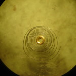 DSC07948