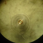 DSC07950
