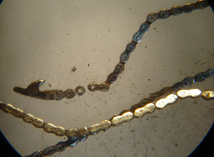 catena conoide