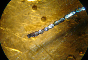 catena conoide10