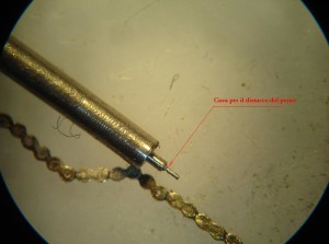 catena conoide14