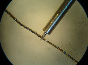 catena conoide16