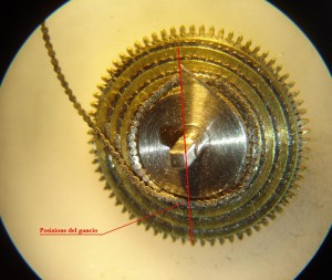 catena conoide20