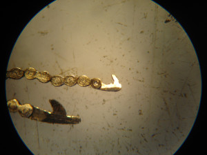 catena conoide23
