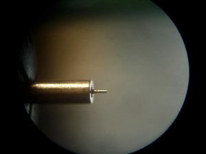 catena conoide24