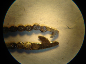 catena conoide25