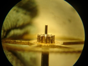 perno5
