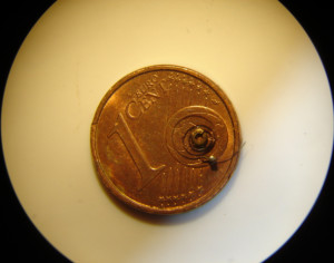 Spirale Invicta