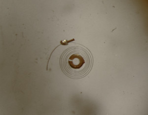 Spirale Invicta raddrizzata