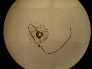 DSC03452