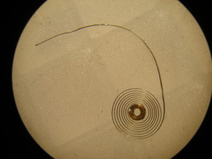 DSC03455
