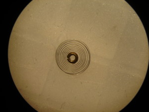 DSC03457