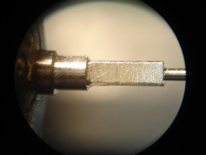 tg10f