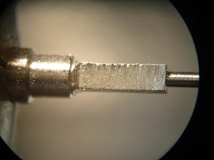 tg12f