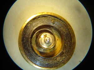 DSC02650