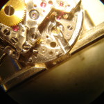 DSC04629