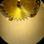 DSC07978