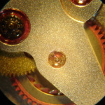 DSC05334