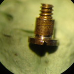 DSC04356