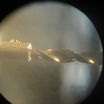 DSC04357