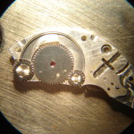 DSC04544