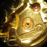DSC06495
