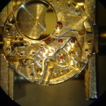 DSC07984