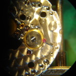 DSC09566
