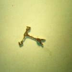hebancre6