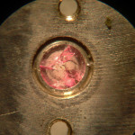 omga35