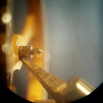 omga55
