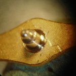 omga56