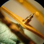 omga83