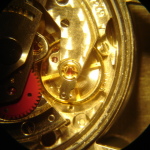 DSC05558