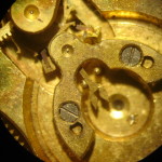 DSC06641