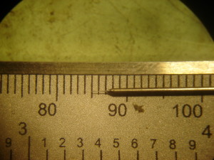 DSC07754