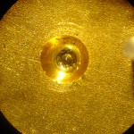 DSC07900