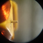 DSC07908