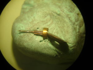 dsc01330